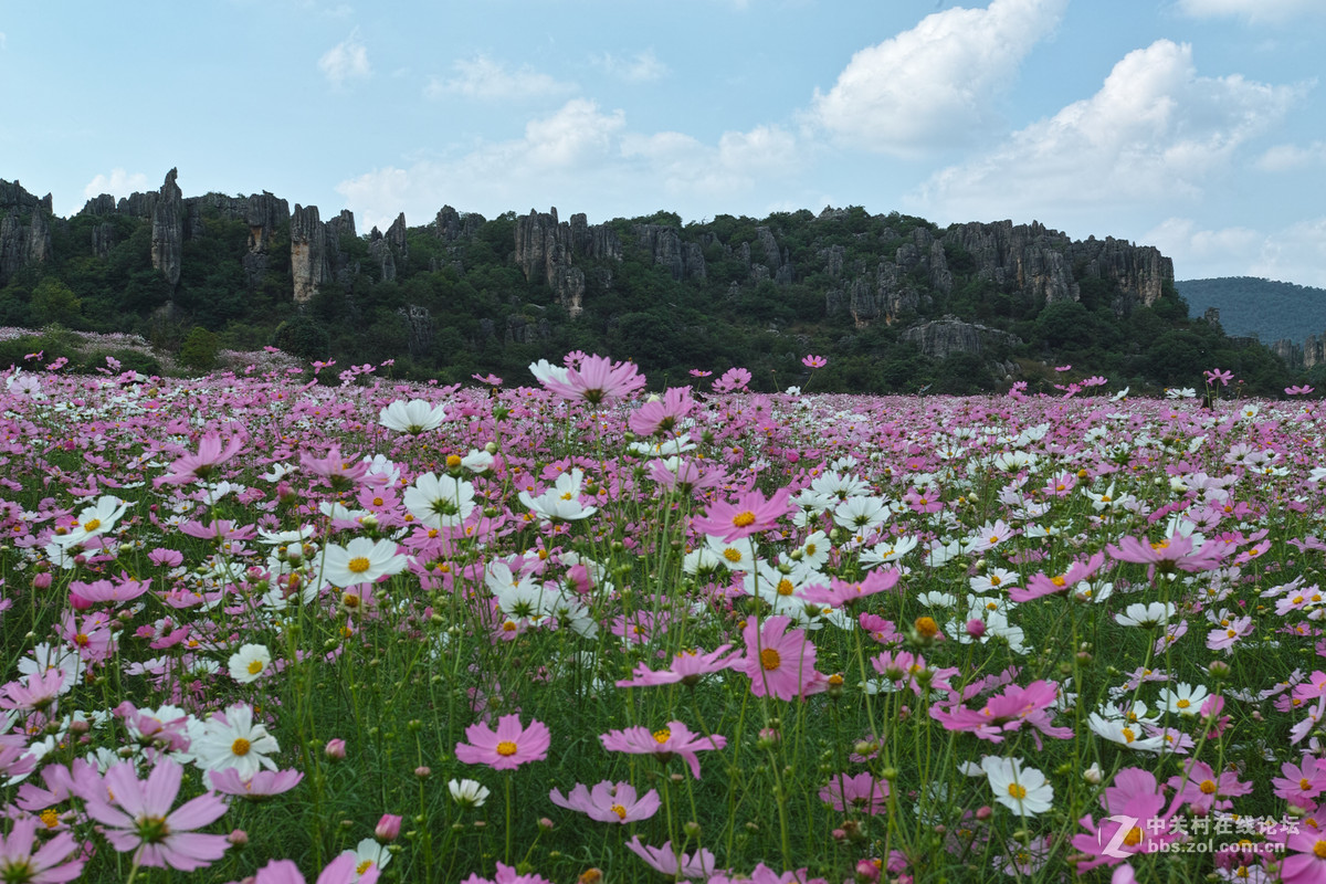 2015国庆小石林花海