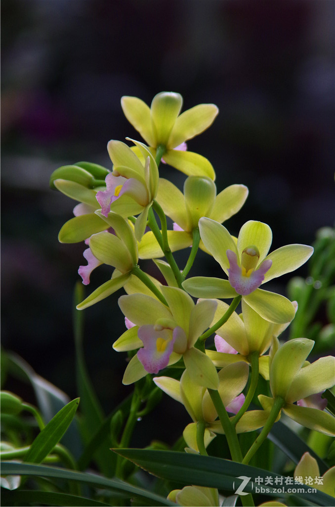 K50+威达28-210，继续拍花