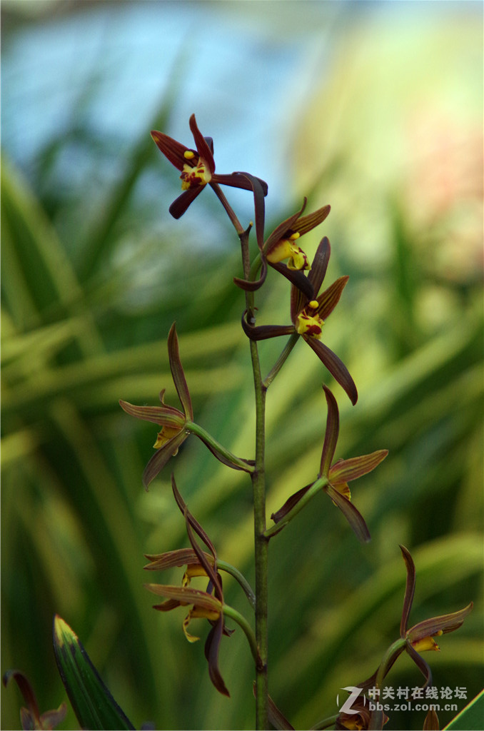 K50+威达28-210，继续拍花