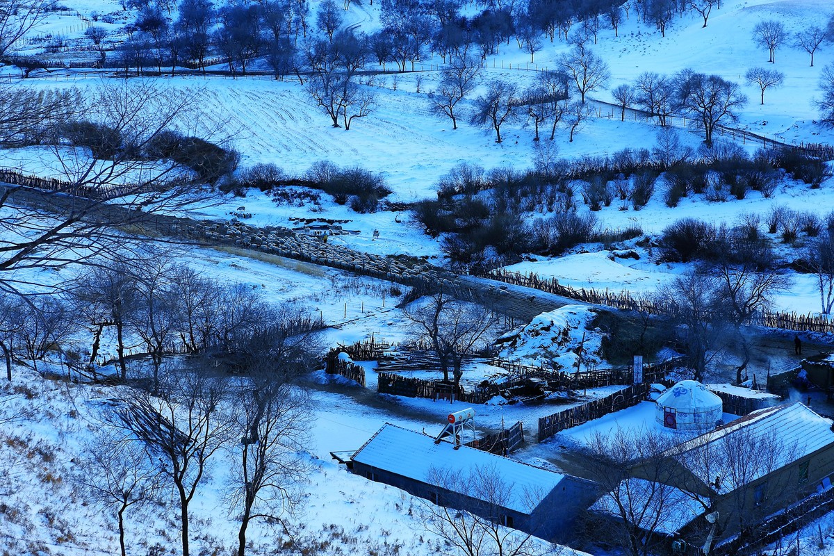 *  * 坝  上  雪  色 *  *