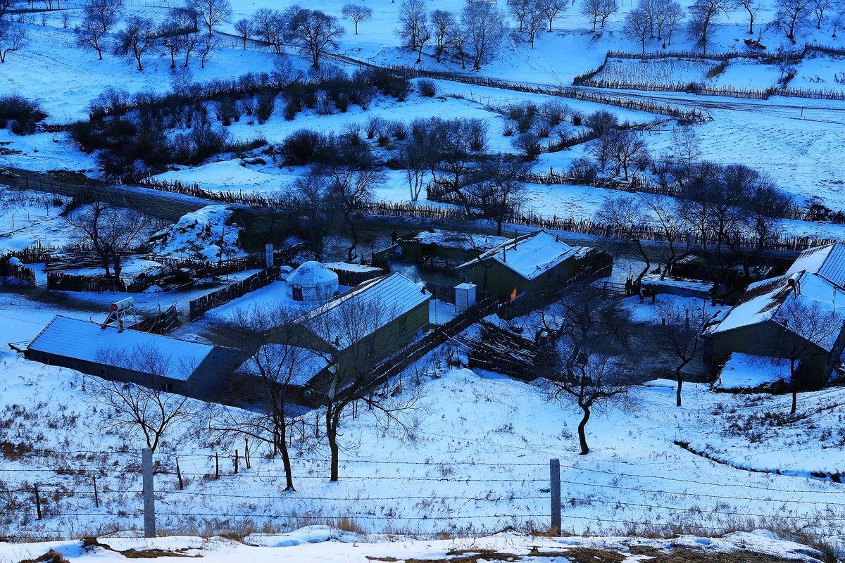 *  * 坝  上  雪  色 *  *