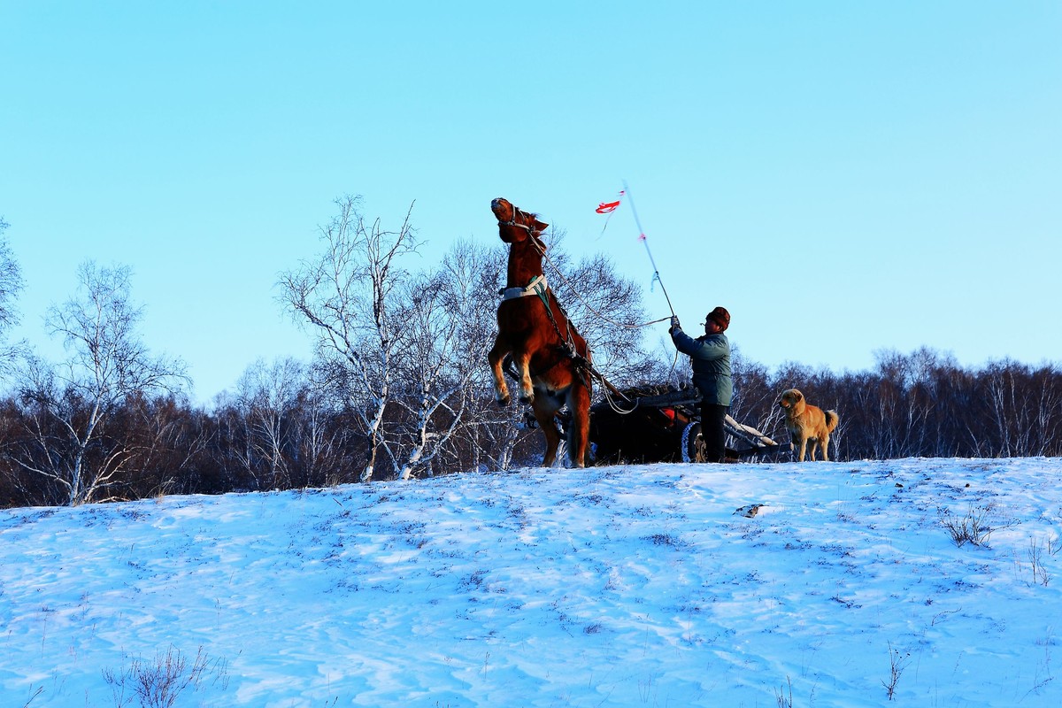 *  * 坝  上  雪  色 *  *