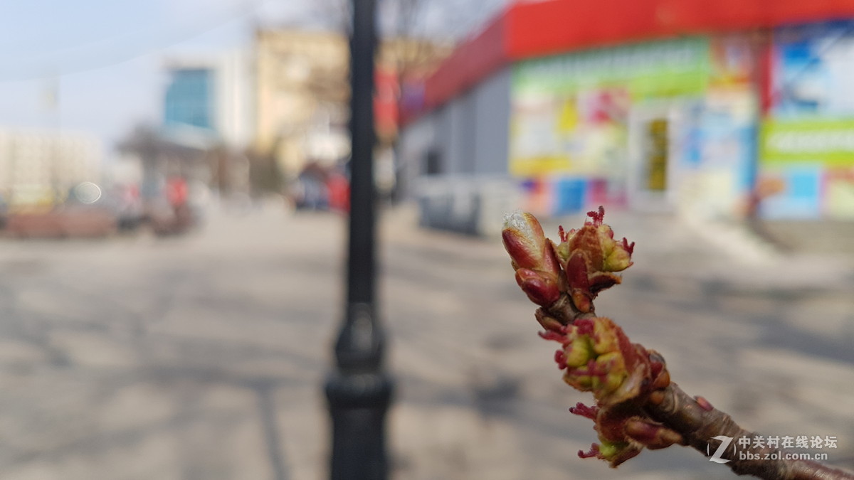 星空体育平台S7几张微距（原图直出）