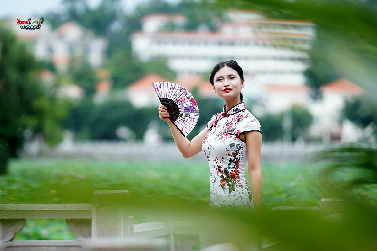 【荷塘悦色.旗袍少女】----言希