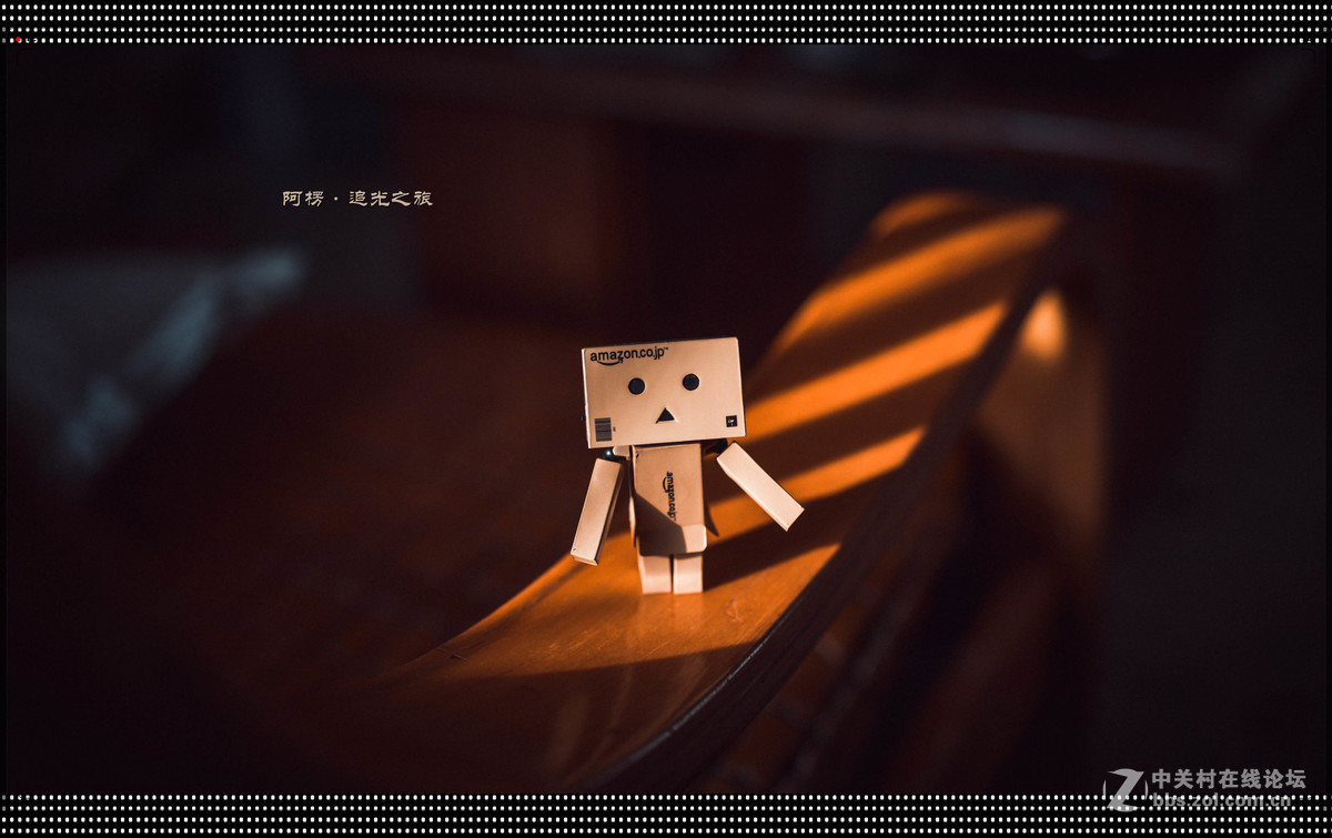 阿楞——新手试拍