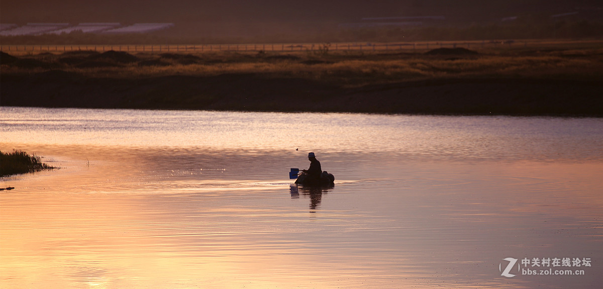 傍晚随拍【鱼趣】