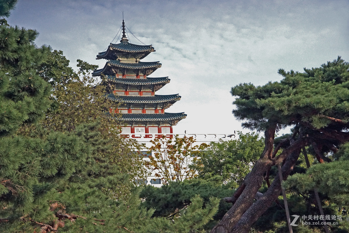 首尔的国宾馆、青瓦台、景福宫