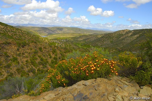 摄影入门必备 小白入门的摄影构图技巧