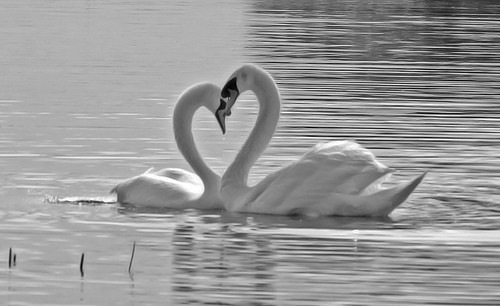 摄影入门必备 小白入门的摄影构图技巧