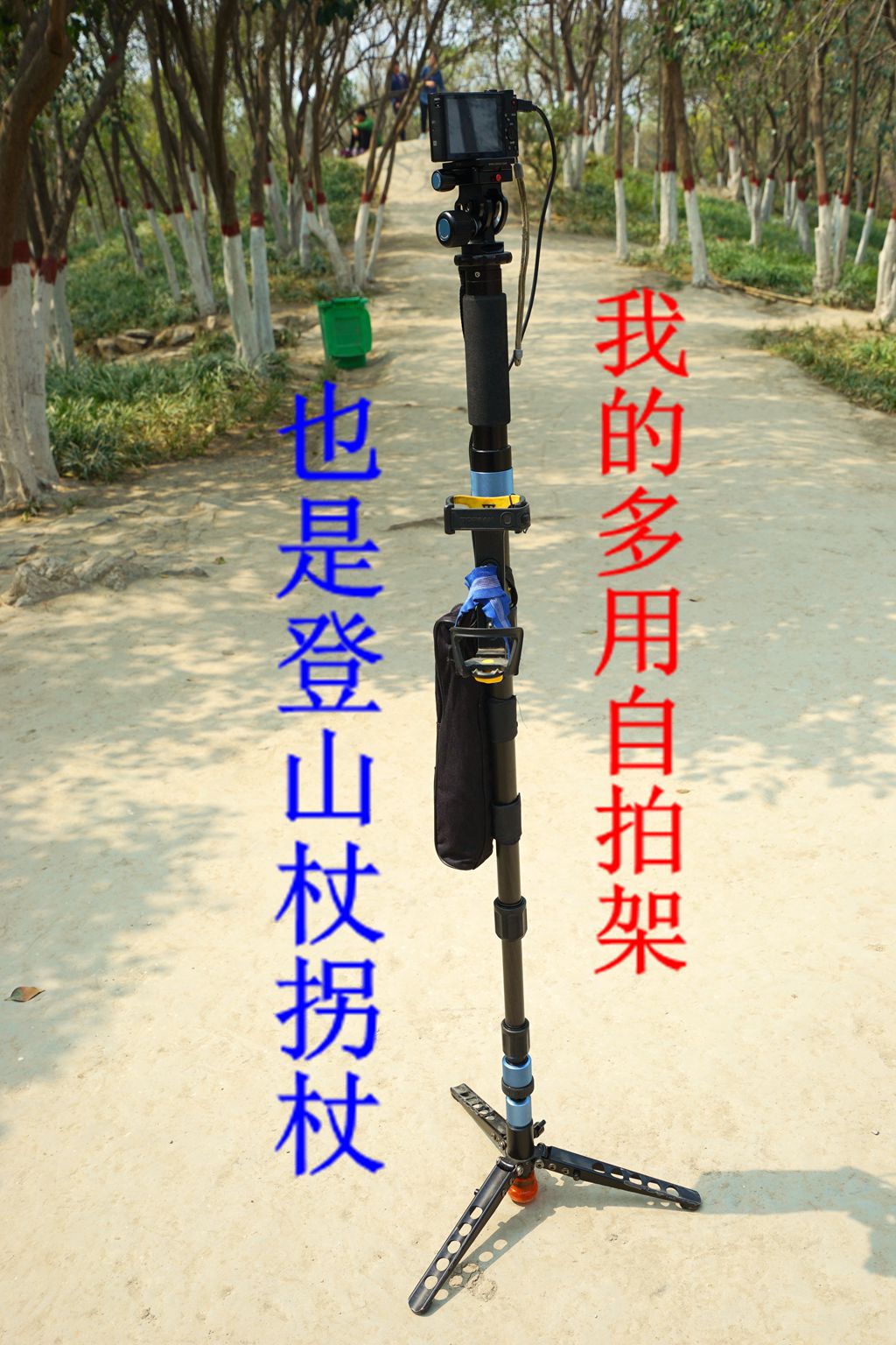 开封自拍照。我摄影我快乐，齐摄影齐快乐。75岁一老头祝摄友都快乐。