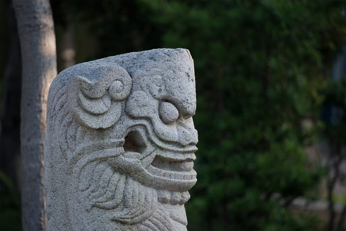 适马100-400mm试镜