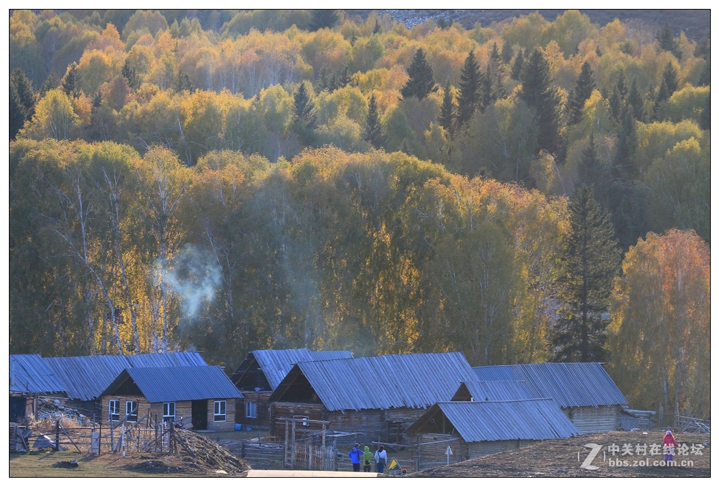 北疆之秋-禾木 2