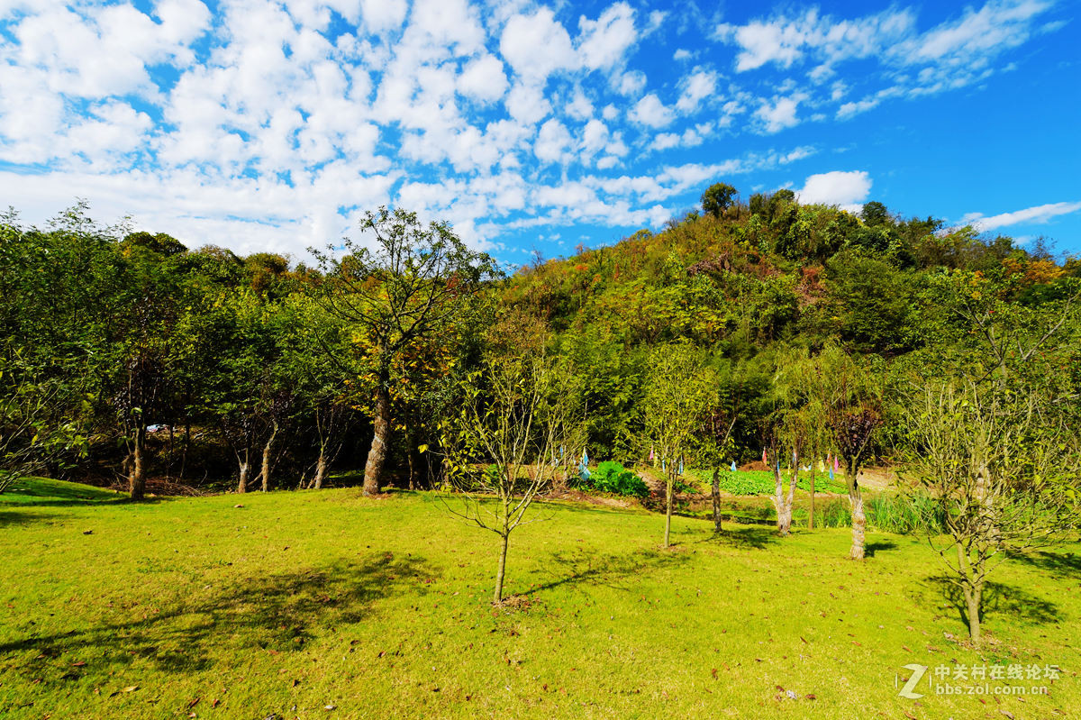 热烈祝贺安徽宁国市荣获中国十大最美城镇及最具人气城镇、最宜居城镇大奖！