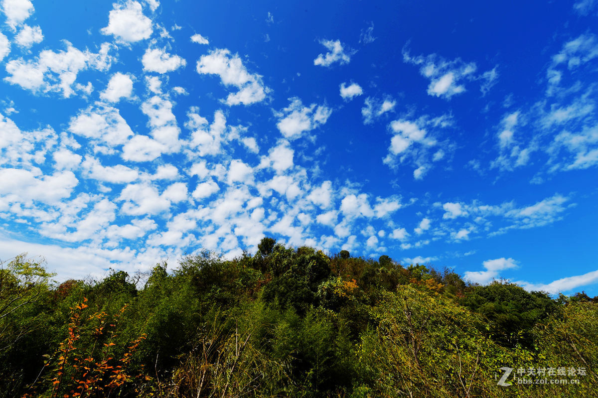 热烈祝贺安徽宁国市荣获中国十大最美城镇及最具人气城镇、最宜居城镇大奖！