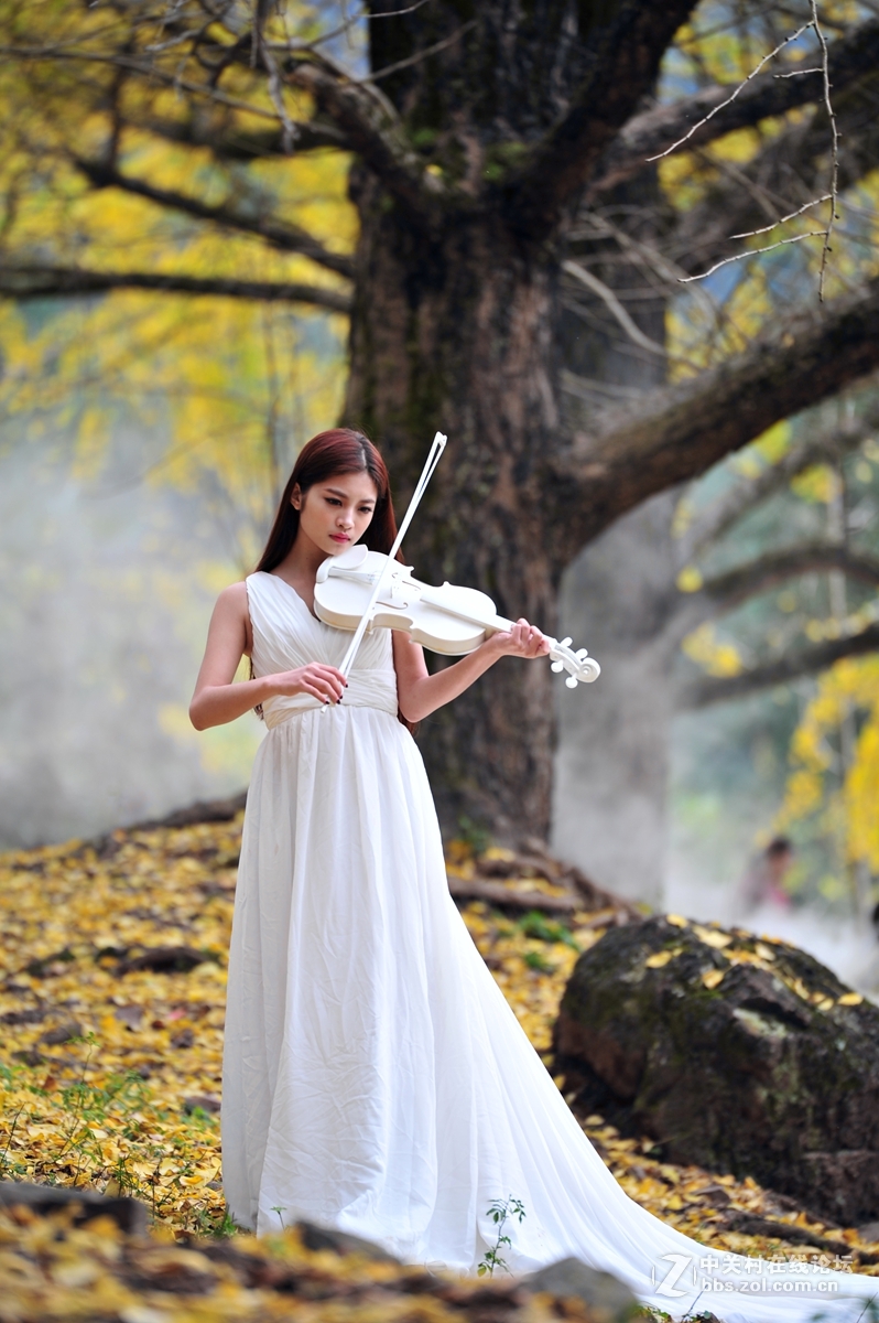 思念的銀杏少女