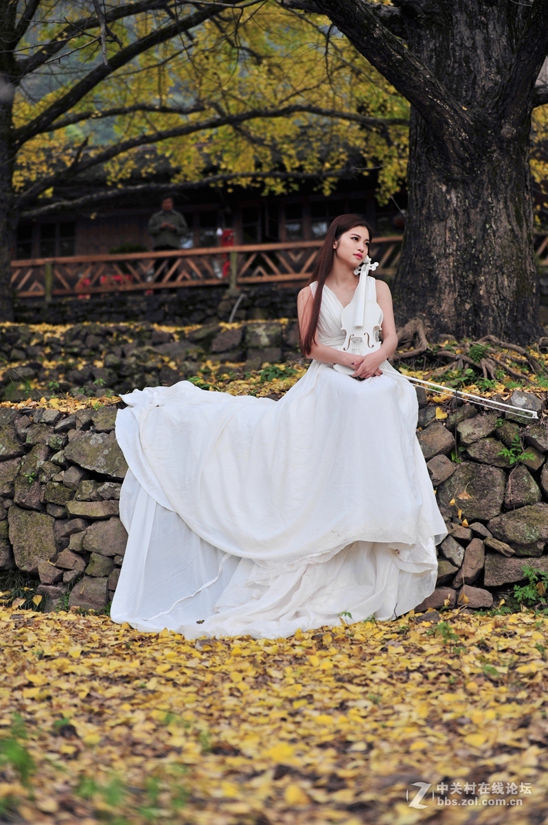 思念的銀杏少女