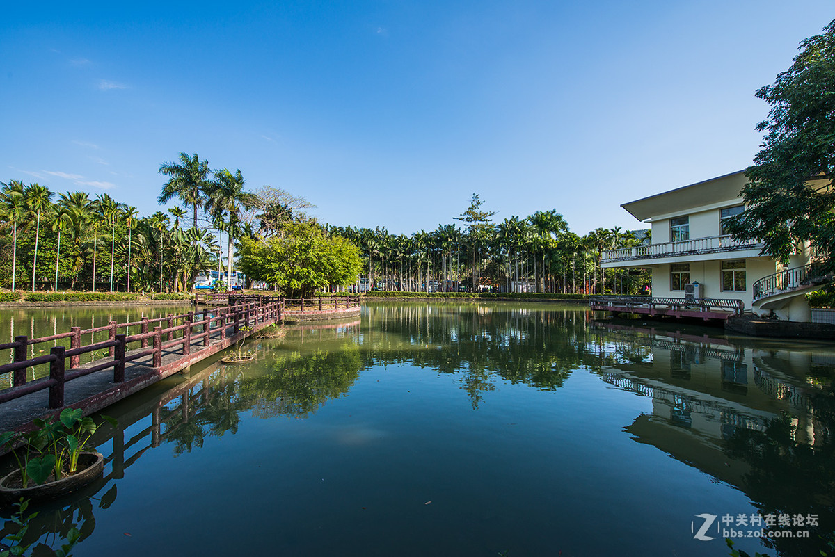 海南兴隆热带药用植物园2016211