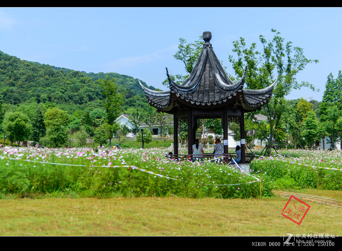 南京江北新区不老村----24-120VR