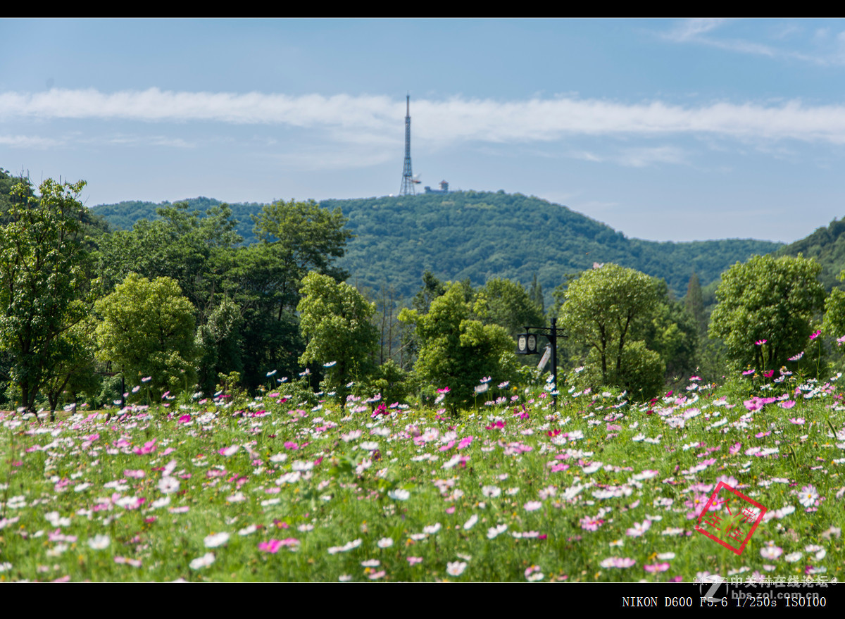 南京江北新区不老村----24-120VR