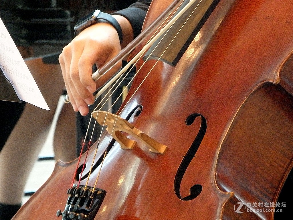 大提琴表演