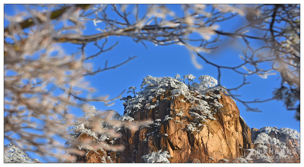 黄山四季皆胜景  唯有冬景景更佳【横幅】