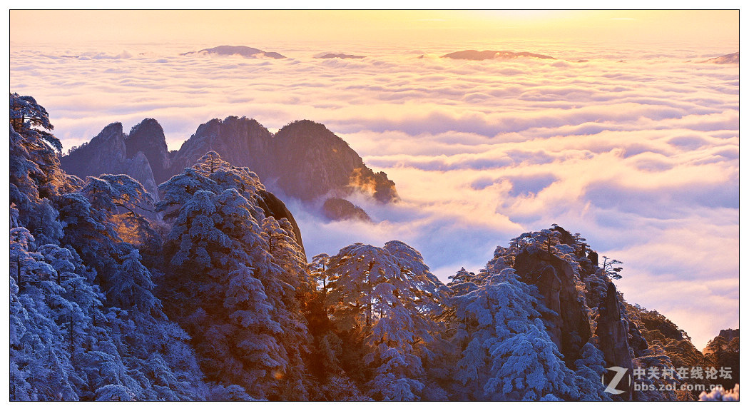 黄山四季皆胜景  唯有冬景景更佳【横幅】