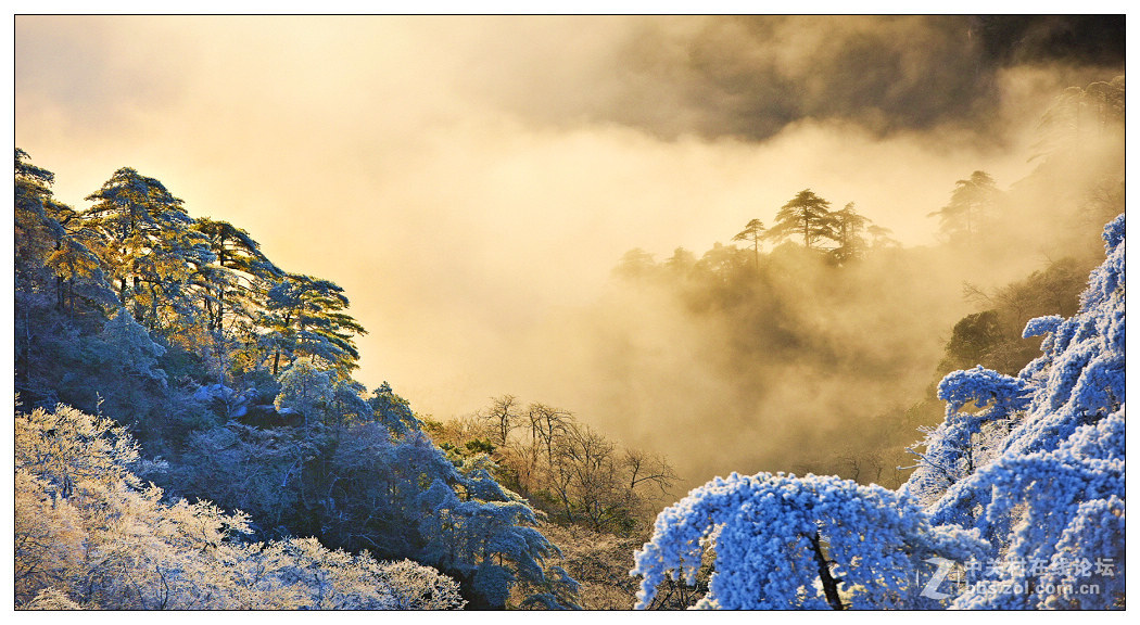 黄山四季皆胜景  唯有冬景景更佳【横幅】
