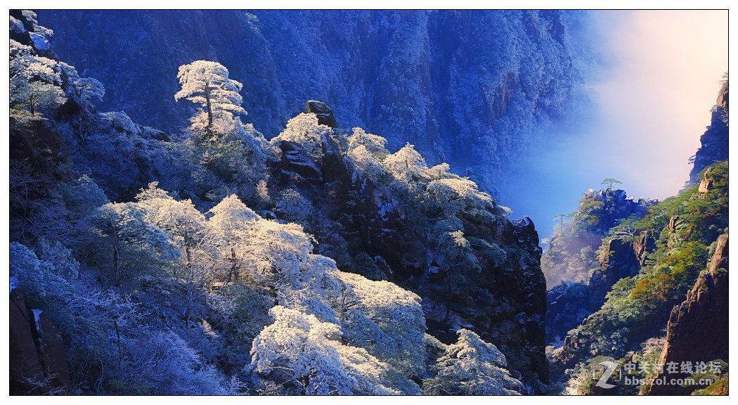 黄山四季皆胜景  唯有冬景景更佳【横幅】