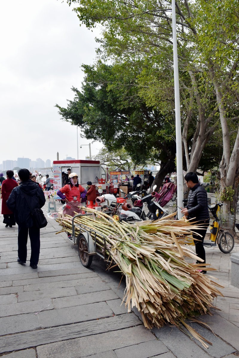 2018春节 闽粤赣（48）跨越泉州湾