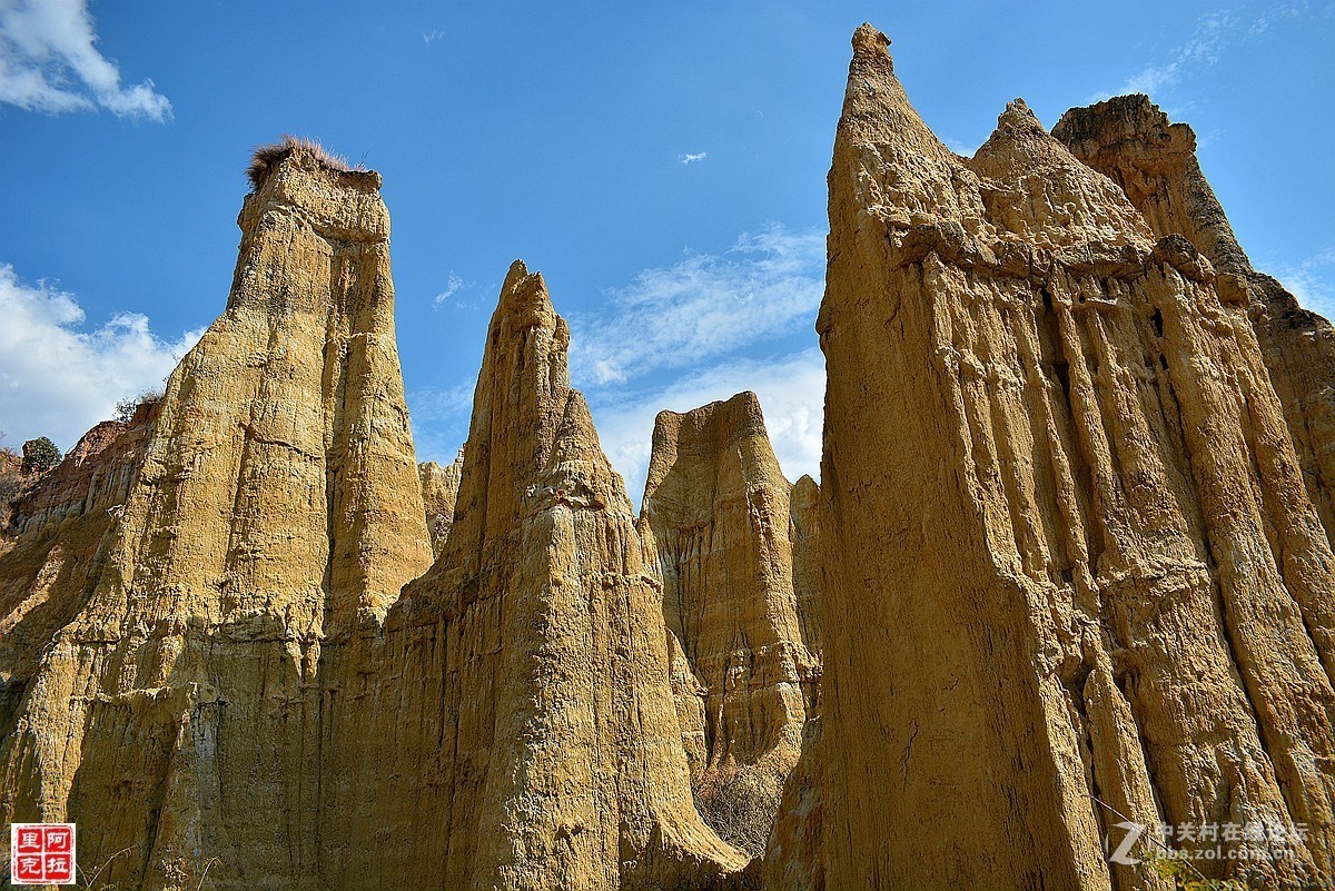 2019年第一帖、云南风景[浪巴铺土林]