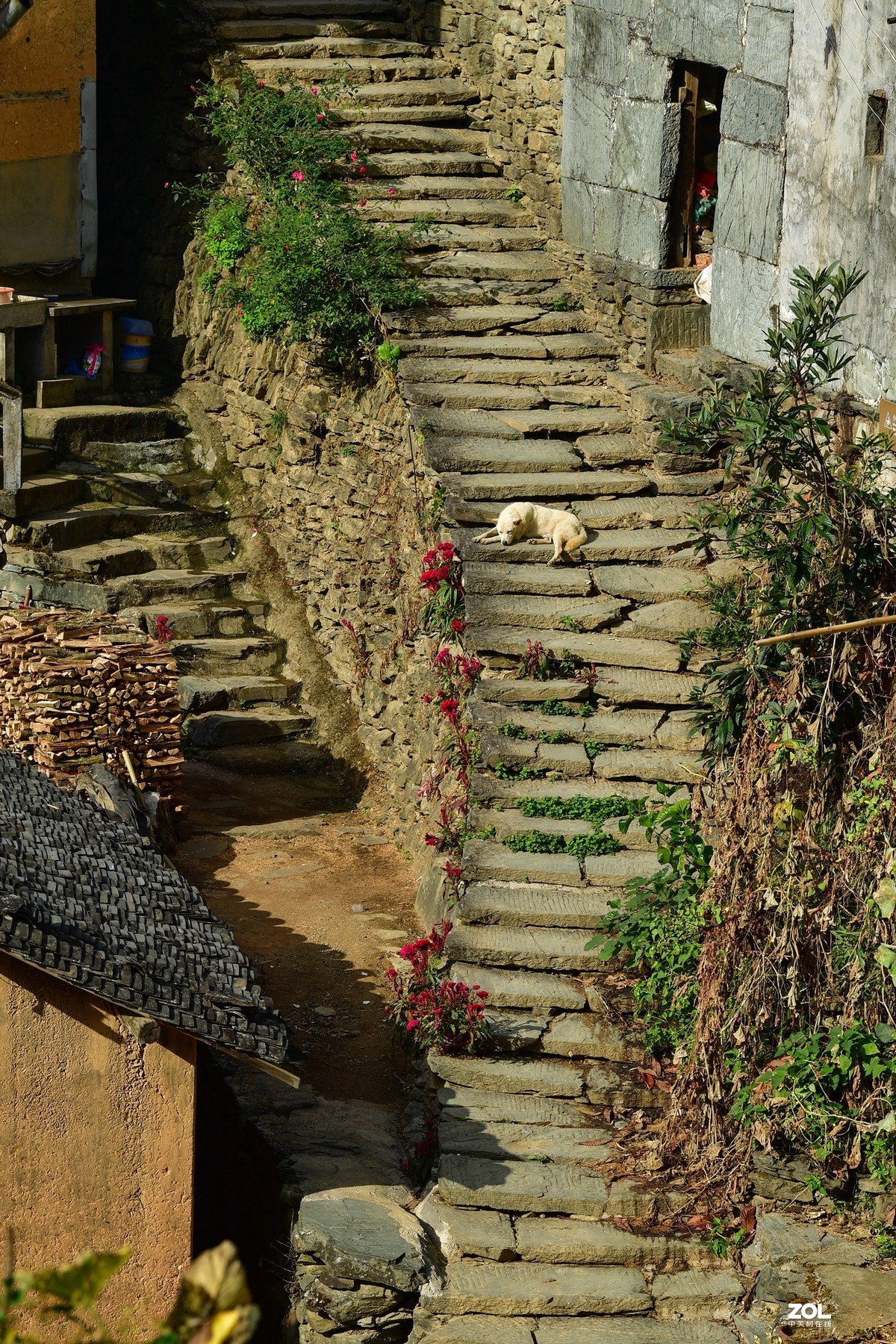 另类的徽派建筑