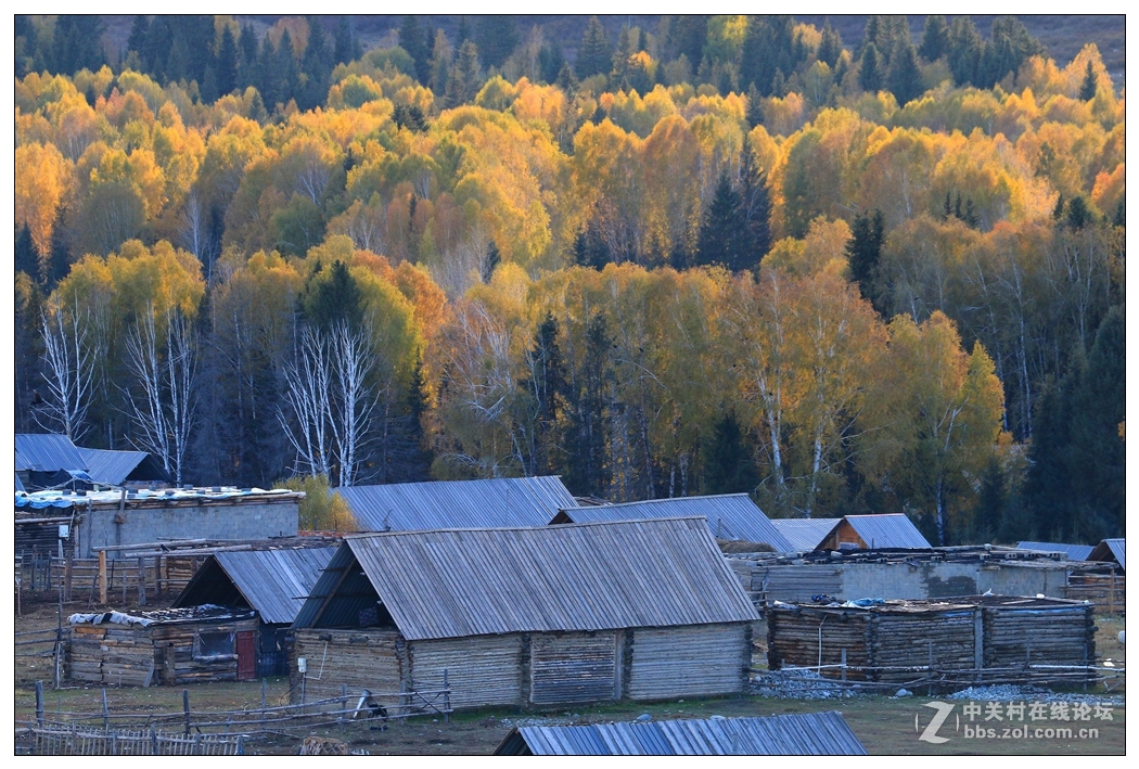 北疆之秋-禾木 2