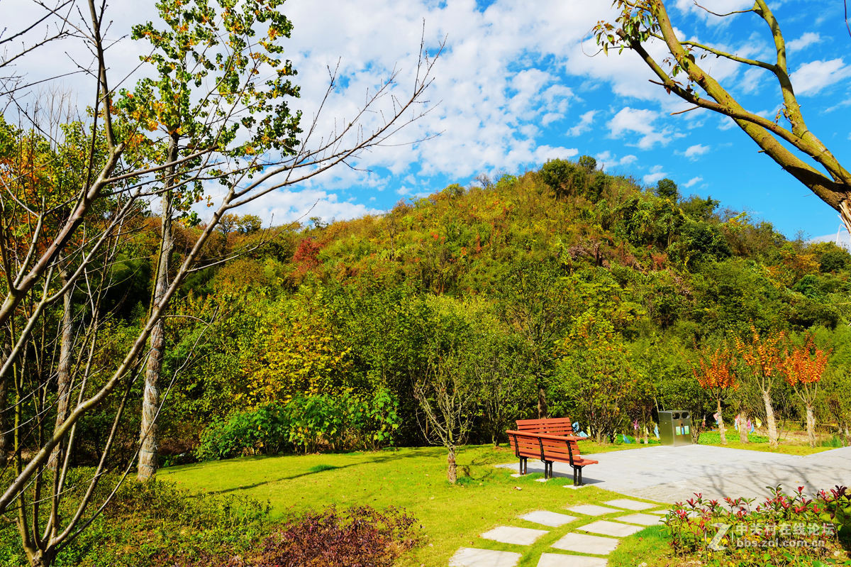 热烈祝贺安徽宁国市荣获中国十大最美城镇及最具人气城镇、最宜居城镇大奖！