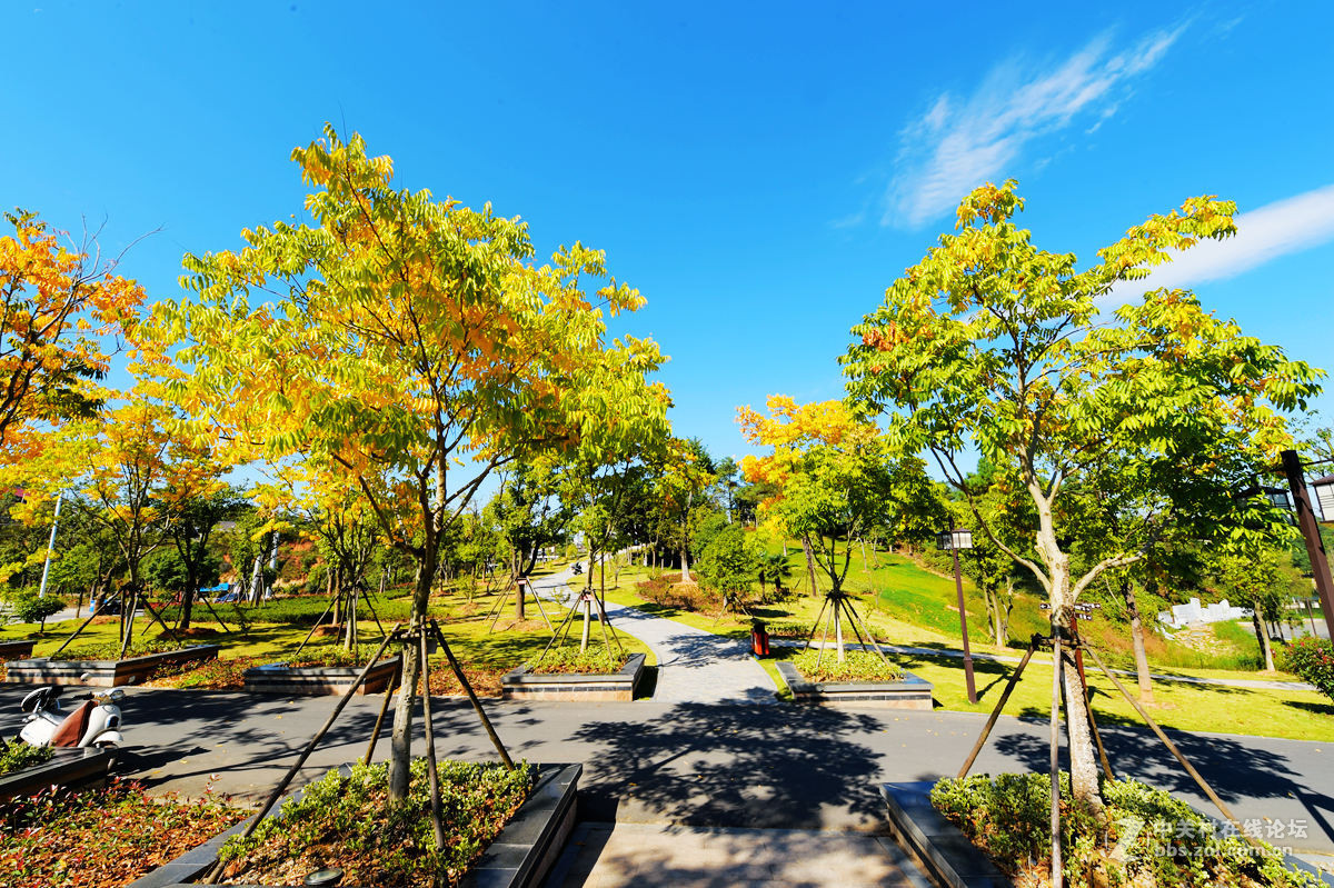 热烈祝贺安徽宁国市荣获中国十大最美城镇及最具人气城镇、最宜居城镇大奖！