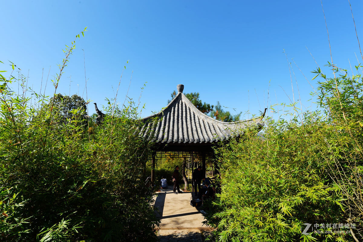 热烈祝贺安徽宁国市荣获中国十大最美城镇及最具人气城镇、最宜居城镇大奖！