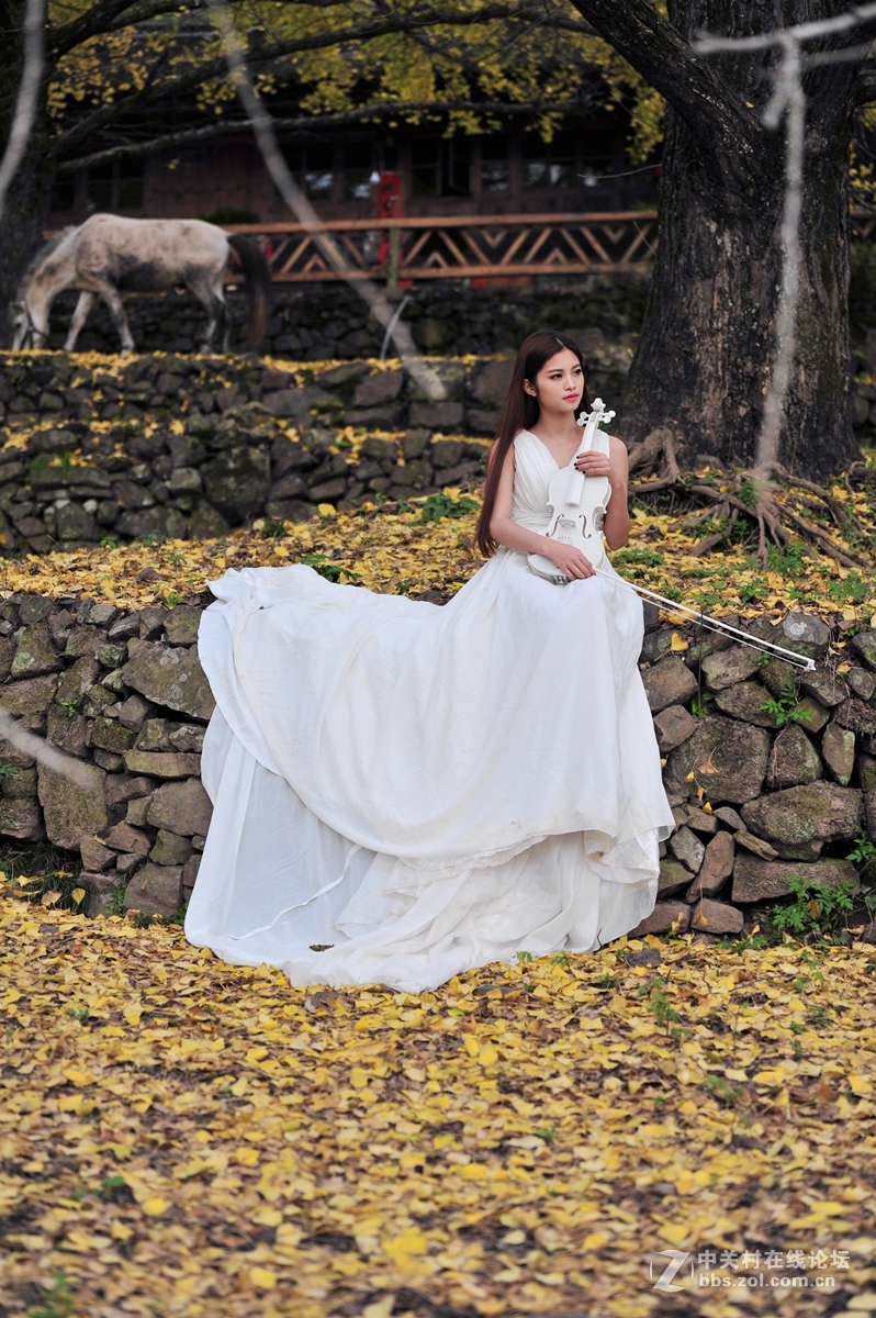 思念的銀杏少女