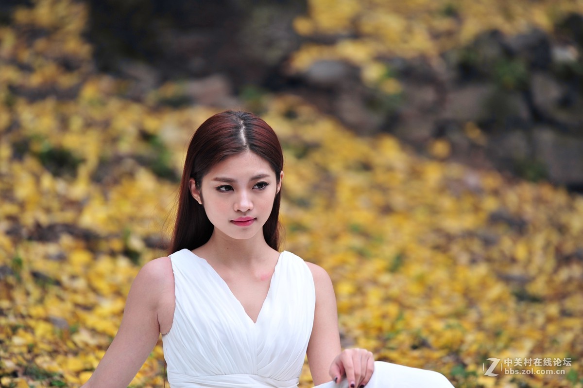 思念的銀杏少女