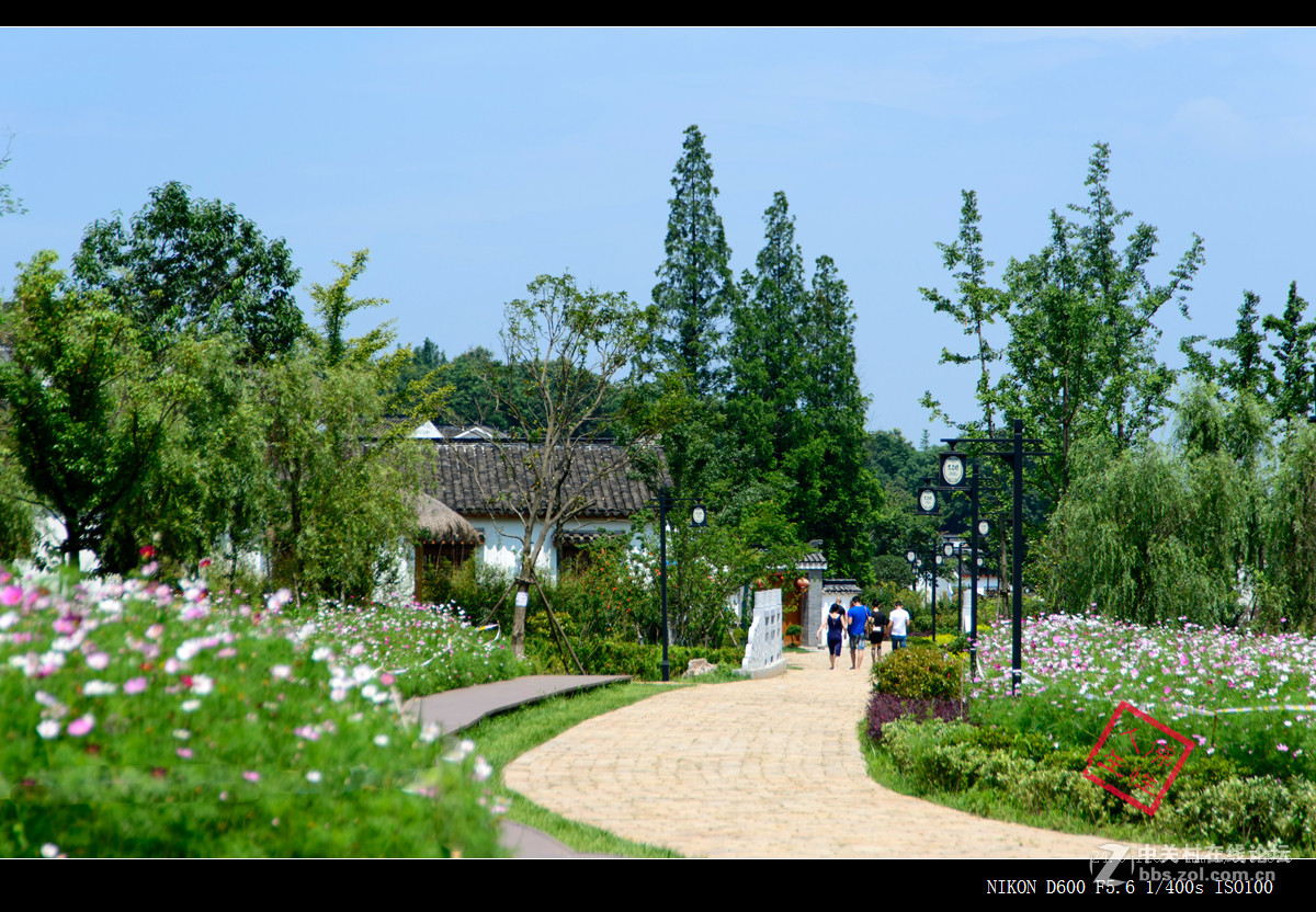 南京江北新区不老村----24-120VR