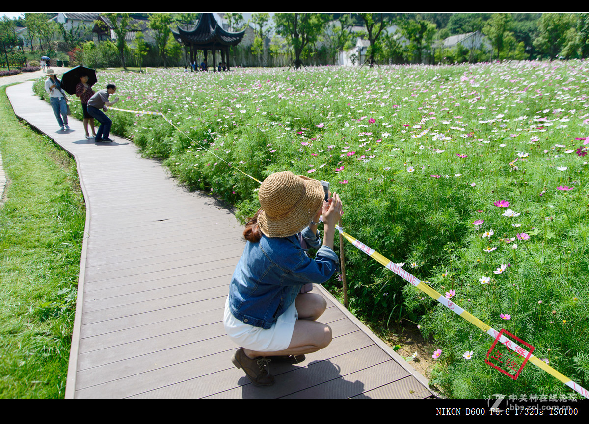 南京江北新区不老村----24-120VR