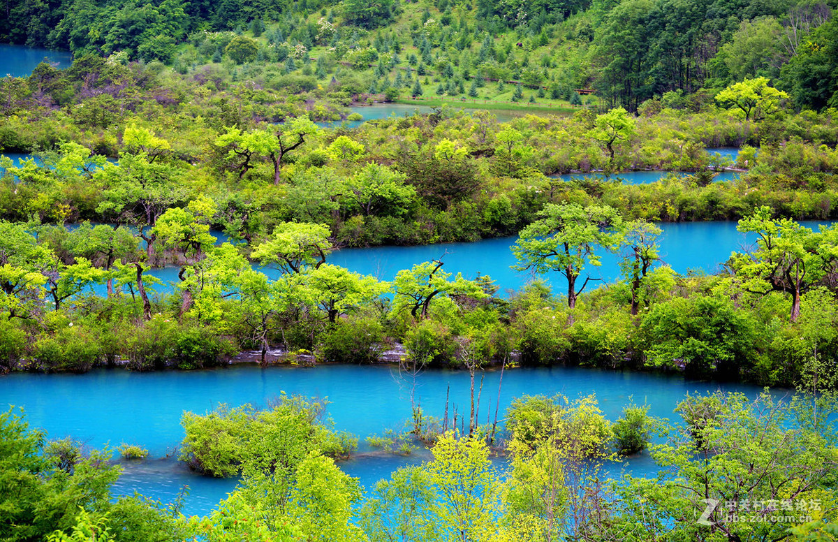 回忆去年九寨行