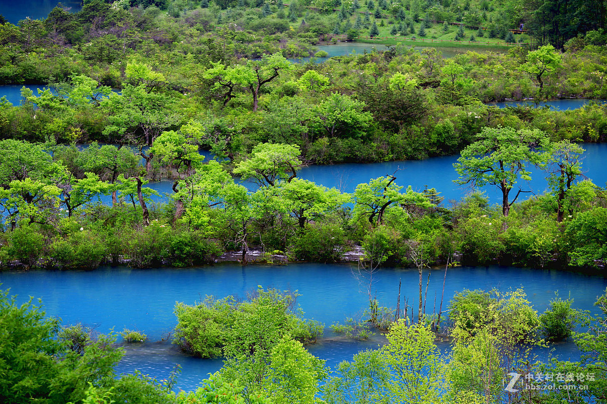 回忆去年九寨行