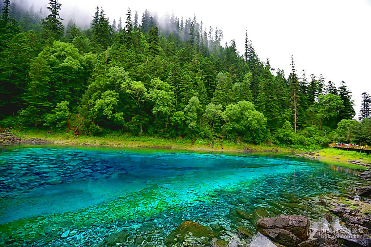 回忆去年九寨行