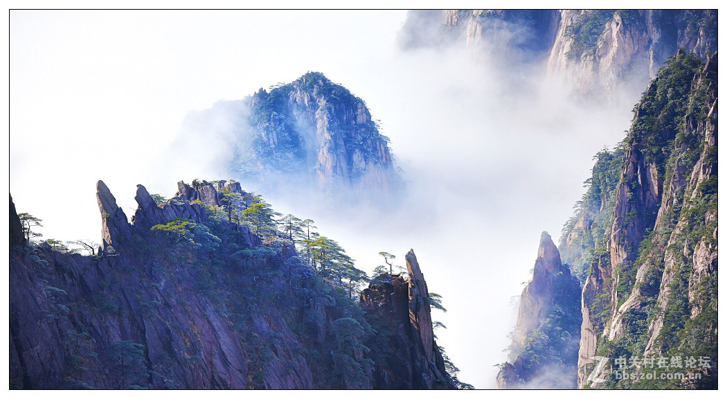 黄山四季皆胜景  唯有冬景景更佳【横幅】