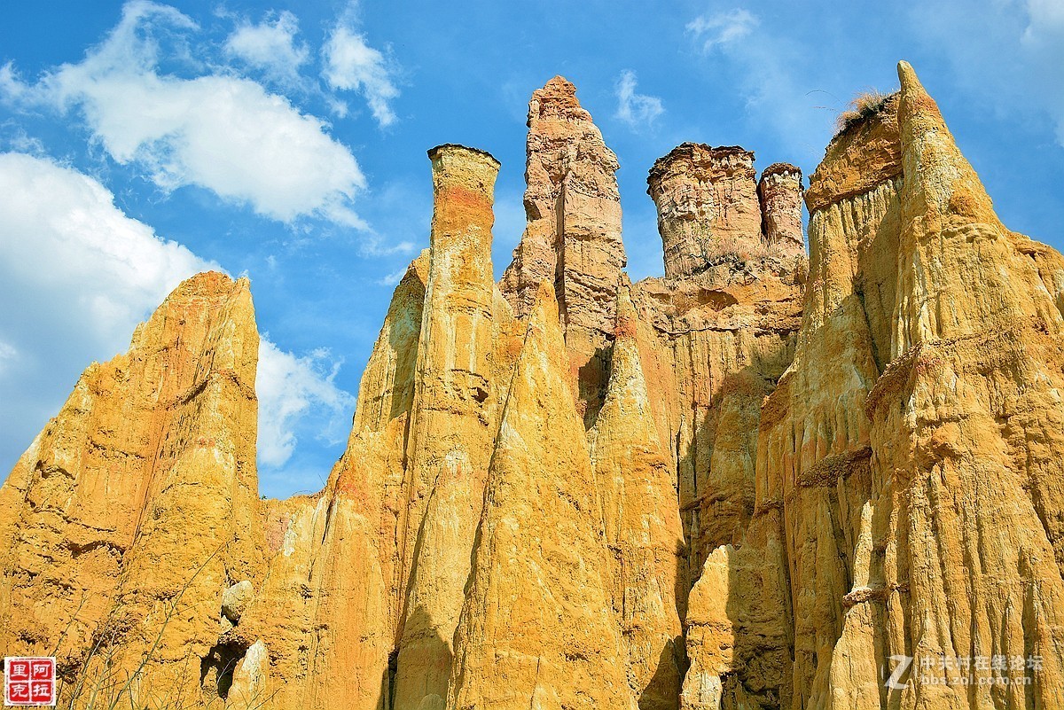 2019年第一帖、云南风景[浪巴铺土林]