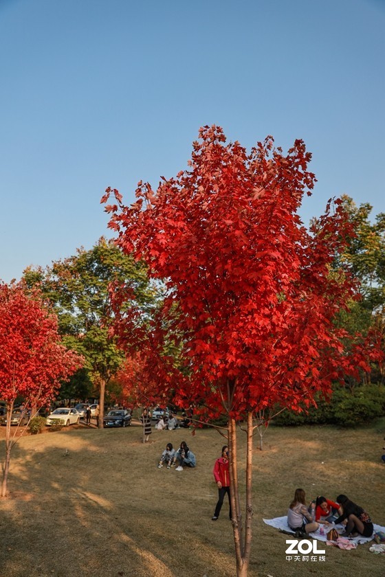 #ZOL月赛晒秋# --望秋