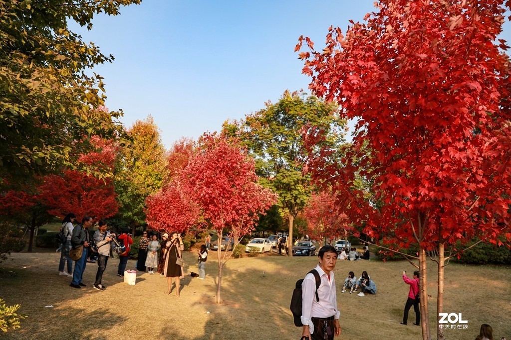 #ZOL月赛晒秋# --望秋