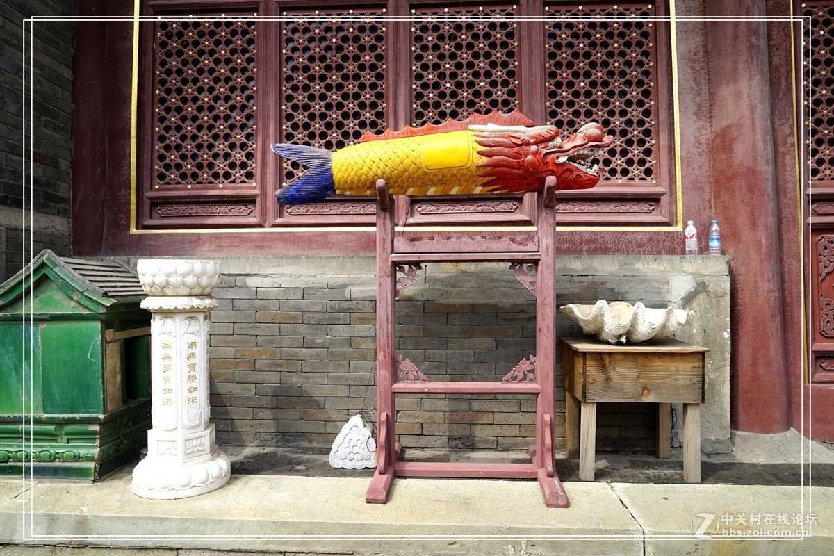 戒台寺——欣赏古树