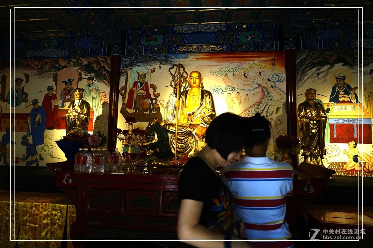 戒台寺——欣赏古树