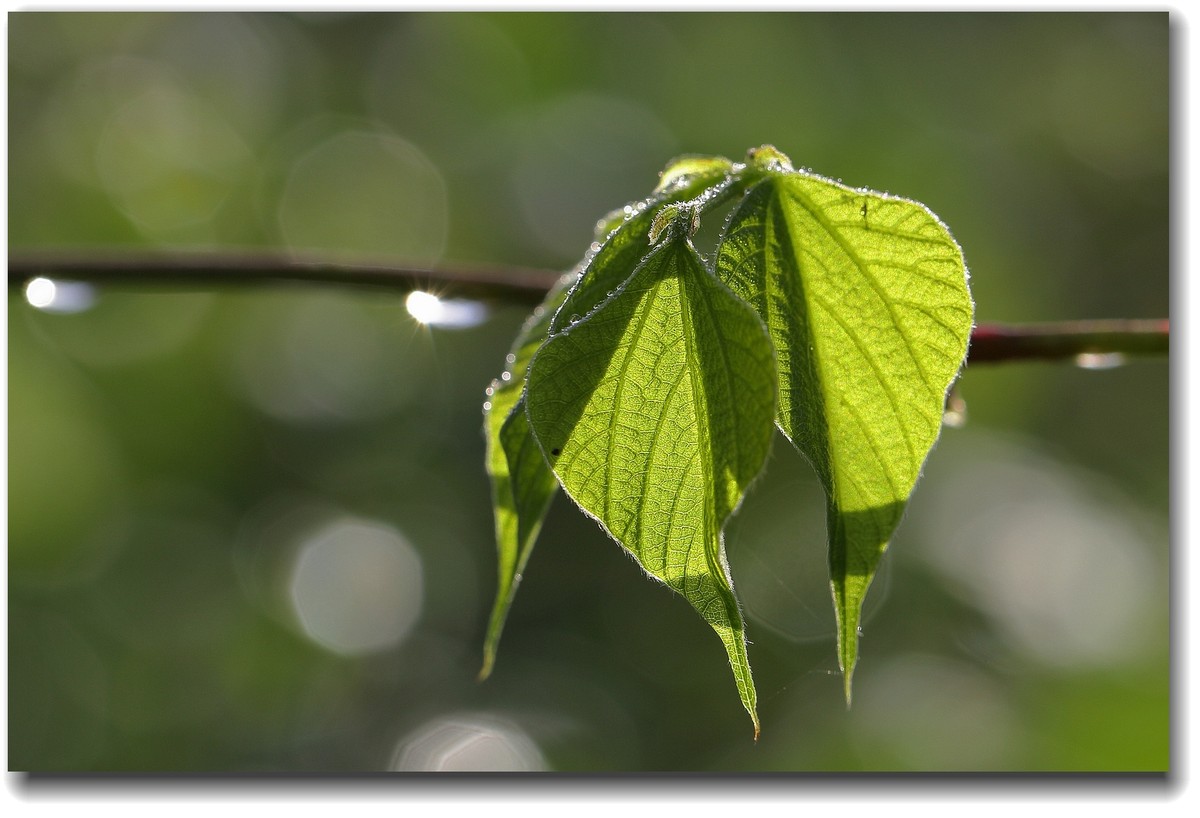 #ZOL国庆随手拍#乐山井研大佛水库