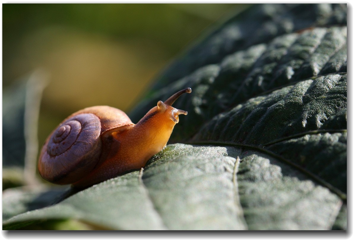 #ZOL国庆随手拍#乐山井研大佛水库